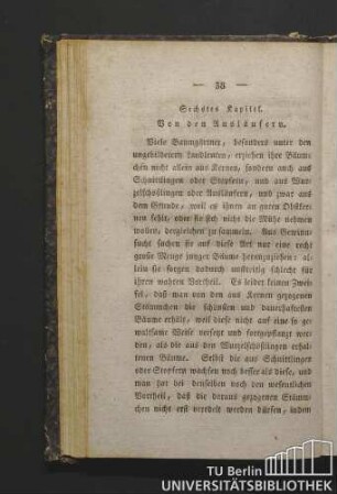 Sechstes Kapitel. Von den Ausläufern.