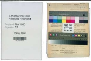 Entnazifizierung Carl Pape , geb. 06.04.1901 (Stadtpberinspektor)