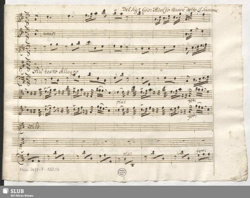 Leucippo. Excerpts - Mus.2477-F-120,17 : S, strings, bc