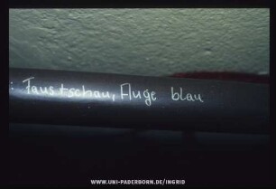 Faustschau, Auge blau