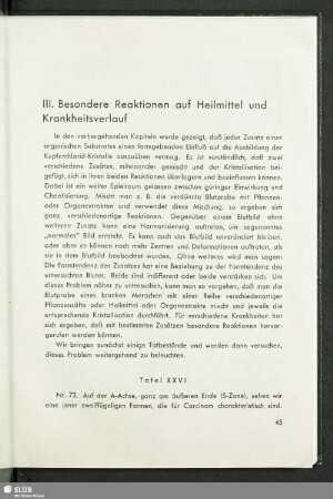 III. Besondere Reaktionen auf Heilmitteil und Krankheitsverlauf