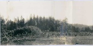 Foto eigener Stellungen mit Drahthindernissen östlich von Riga (rechter mittlerer Bildteil)