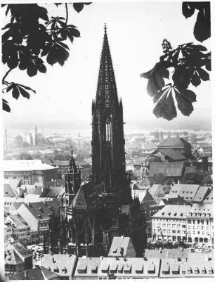 Freiburg: Münster vom Dattler aus (repro)