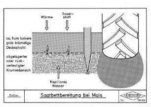 Saatbettbereitung bei Mais