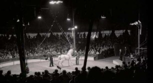 Zirkus Sarrasani, Hannover, 1972