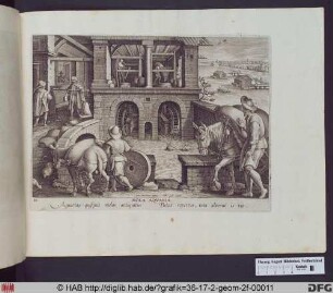 Mola aqvaria.