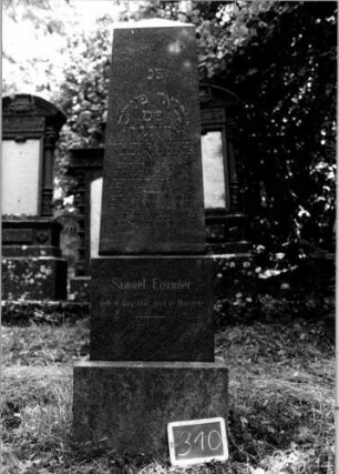 Grabstein 310 [Nir S. 184 Nr. 17.01]