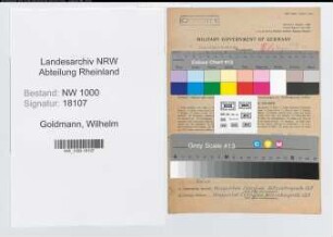 Entnazifizierung Wilhelm Goldmann, geb. 13.08.1903 (Rundschleifer)