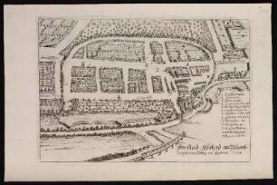 Vorstad Wehrd an Nürnb. wie sie von Mittag an zusehen. 1708. - Nürnberg-Wöhrd