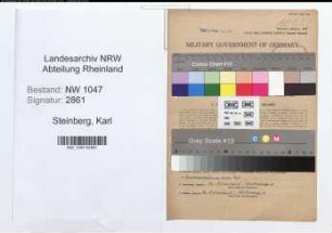 Entnazifizierung Karl Steinberg , geb. 18.11.1885 (Rektor)