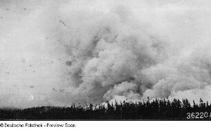 Colorado, National Park, Vegetation, Waldbrand, Colorado National Park, Waldbrand, 3 Stunden nach Ausbruch, Aufnahme, U.S. Forest Service
