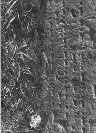 Grabstein 11 (Index: 100009459) Zustand: zur Hälfte eingesunken, zum Teil abgebröckelt Maße HxBxT: 54x60x11 cm: Grabstein 11C