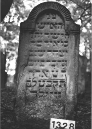 Grabstein 1328 (Index: 99900216) Material: Sandstein Zustand: stark verwittert Maße HxBxT: 119x55x14 cm Beschreibung: Stele mit Konvexbogenabschluss, Oberrahmen mit Zahnfries, seitliche Rahmen als Säulen gearbeitet Symbolik: Zahnfries: Grabstein 1328