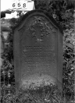 Grabstein 658 (Index: 100099733) Maße HxBxT: 118x61x11 cm Symbolik: Efeu: Grabstein 658