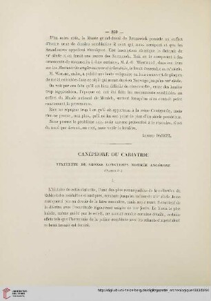 Canéphore ou cariatide: statuette de bronze longtemps nommée Angérone