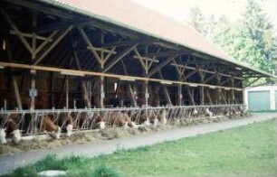 Fotografie: Stallsystem, Betriebsgebäude, Offenfrontstall, Fressgitter, Futtervorlage, Heu