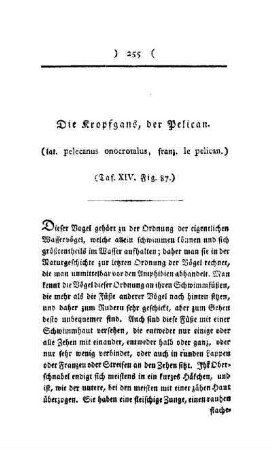 ¬Die¬ Kropfgans, der Pelican : (lat. pelecanus onocrotalus, franz. le pelican) ; Taf. XIV, Fig. 87
