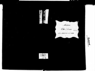 Achern OG; Katholische Gemeinde: Heiratsbuch 1810-1816