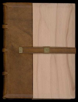 Gerardus de Solo. Iohannes de Parma. Arnaldus de Villanova