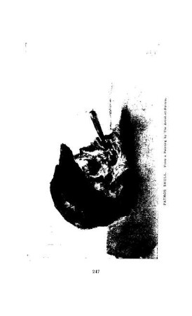 Patmos Skull, from a Painting by the Artist-of-Patmos