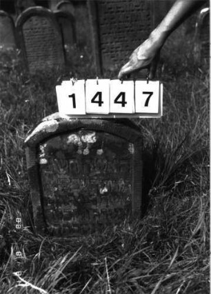 Grabstein 1447 (Index: 100098081) Maße HxBxT: 52x42x11 cm: Grabstein 1447