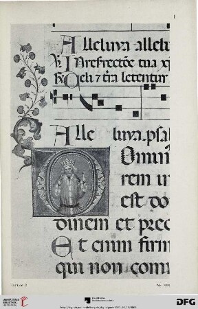Tafel I-VIII