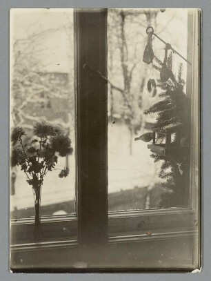 Am Fenster für unsere kleinen Sänger