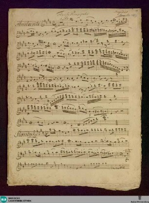 ?Variations? - Don Mus.Ms. 1297 : fl, orch; E