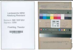 Entnazifizierung Theodor Froehling , geb. 03.10.1895 (Buchhalter)