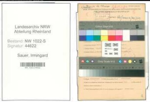 Entnazifizierung Irmingard Sauer , geb. 24.12.1907 (Graphikerin)
