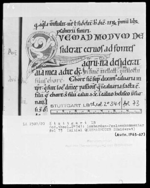 Petrus Lombardus, Psalmenkommentar — Initiale Q (umamdolum desiderat), Folio 73recto