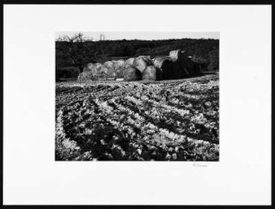 Abgeerntetes Feld mit aufgestapelten Strohrollen
