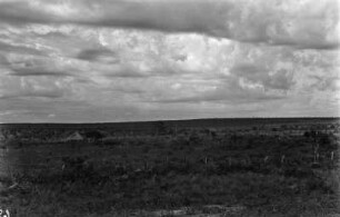 Landschaft : Landschaft bei São Paulo.