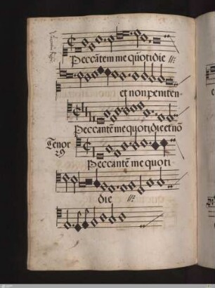 Vincentinus Rufus : Peccantem me quotidie