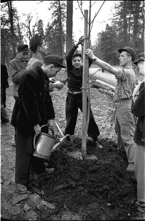 Anpflanzung von Bäumen im Schlossgarten durch Schulabgänger der Weinbrennerschule