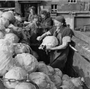 Sauerkraut-Herstellung in Charlottenburg