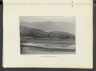 Plate LXVII.