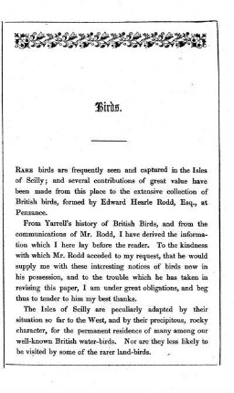 Birds