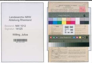 Entnazifizierung Julius Willing , geb. 09.04.1888 (Prister)
