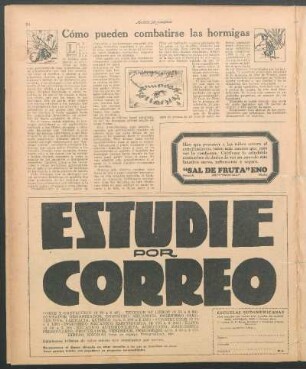 Cómo pueden combatirse las hormigas