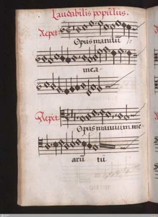 [Resinarius] : Opus manuum