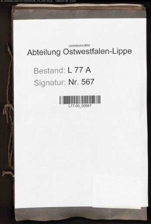 Beschwerde des Wortwahrers Ludwig Wippermann gegen den Magistrat zu Lemgo wegen unterbliebener Wiederwahl als Wortwahrer der Gemeinheit, Bd. 2