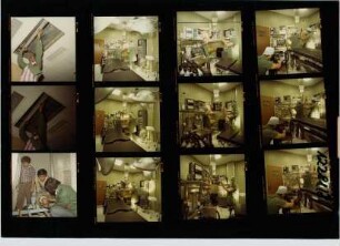 COOP, 1981