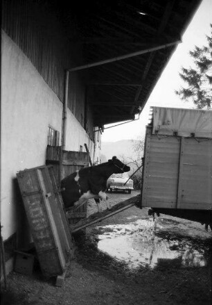 Umzug der Pächterfamilie Eugen Denninger vom städtischen Gutshof Rüppurr auf einen Aussiedlerhof in Flehingen nach Aufgabe des Gutshofs Rüppurr