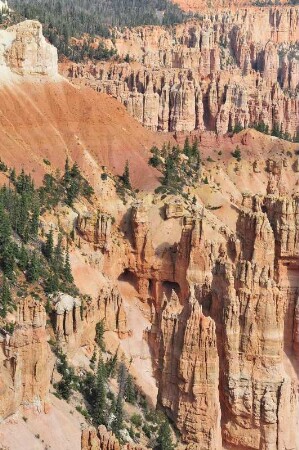 Sandsteinfelsen im Bryce Canyon Nationalpark : Von zahlreichen Aussichtspunkten können Besucher im Bryce Canyon Nationalpark die unterschiedlichen Sandsteinformationen und Felsnadeln, so genannte "Hoodoos", betrachten. Aufgenommen am 18. August 2012