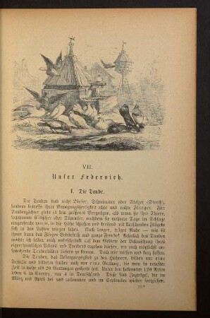 VII. Unser Federvieh