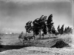 Sandsturm : Sandsturm über dem Siedlungsgebiet von Oliveti.