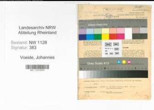 Entnazifizierung Johannes Voeste , geb. 20.11.1887 (Feuerwehrmann)