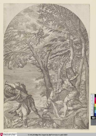 [Le martyre de St. Pierre de l'ordre des frères prêcheurs; The Martyrdom of St. Peter of the Order of Predicant Friars; Das Martyrium des Heiligen Petrus]