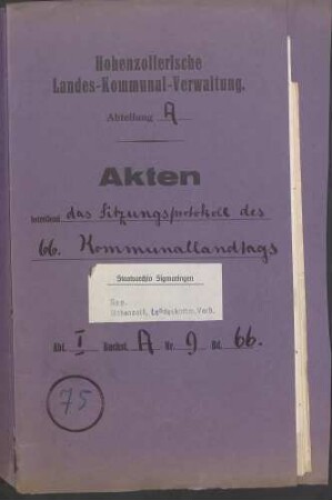Außerordentlicher Landtag - Bd. 66